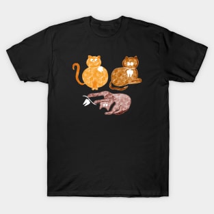 Cats and Molars T-Shirt